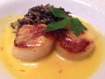 Close-up of served food