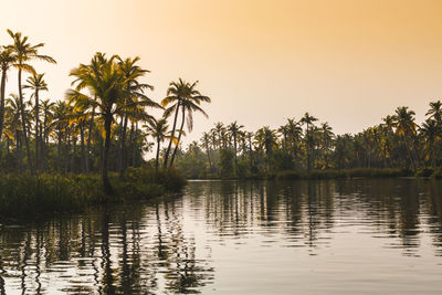 Silhouette palm trees by lake against clear sky