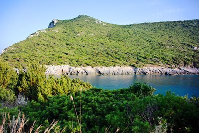 Scenic view of lake and trees against sky