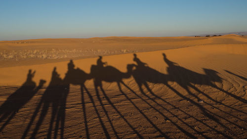 Shadow of person on sand dune in desert