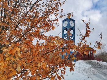 Low angle view of tree against sky during winter