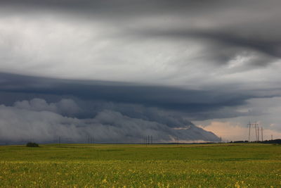 Scenic view of field against sky