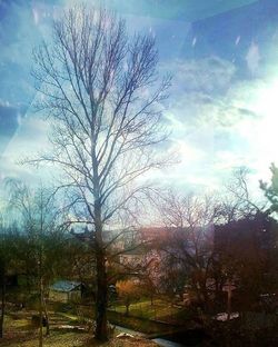 Bare trees on field against cloudy sky