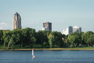 Trees and modern buildings in city against sky