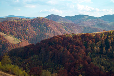 Mountains in the fall season, paltinis area, sibiu county, romania