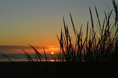 Scenic view of sunset