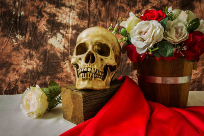 Still life with skull man