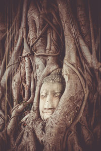 Close-up of buddha statue
