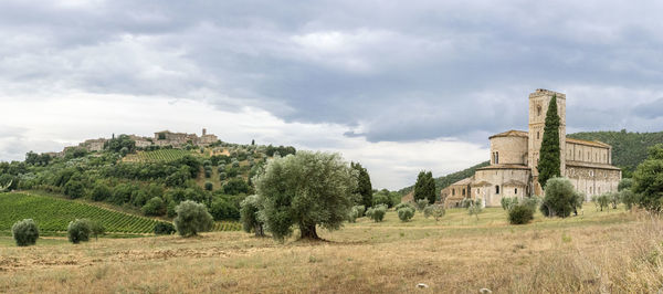 Trees and plants by building on land against sky