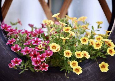 High angle view of flower bouquet