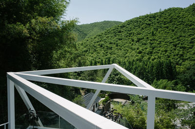 Bridge in forest against sky