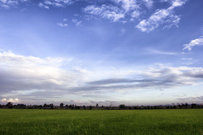 Scenic view of field against sky