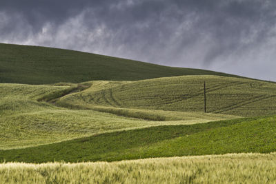 Scenic view of field against cloudy sky