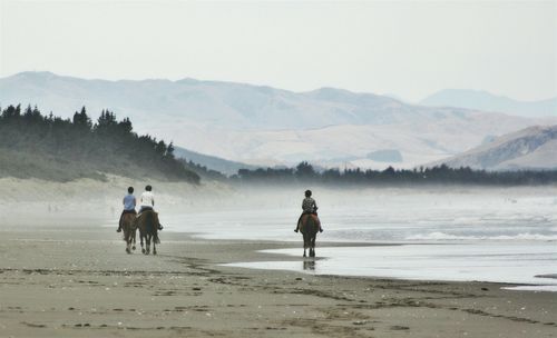 Rear view of people riding horses at beach