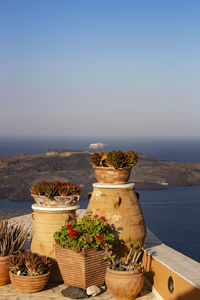 Potted plant on table by sea against clear sky