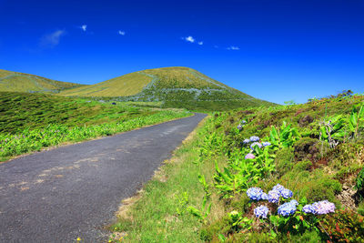 Road amidst green landscape against clear blue sky