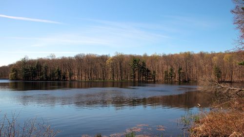 Scenic view of lake in forest against sky