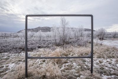 Snow covered trees seen through signboard frame