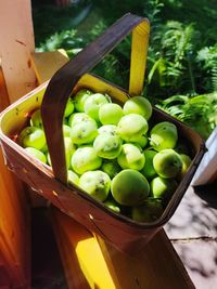 High angle view of fruits in basket