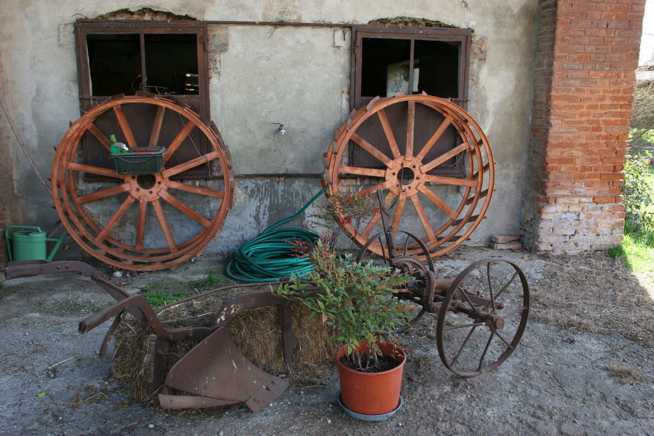 ABANDONED WHEEL WITH PLANTS