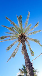 Low angle view of trees against clear blue sky