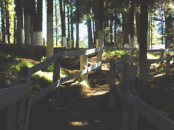 View of trees along plants