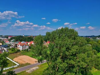 Trees and buildings against sky