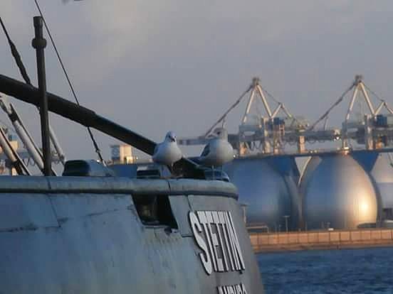 CLOSE-UP OF HARBOR AGAINST SKY