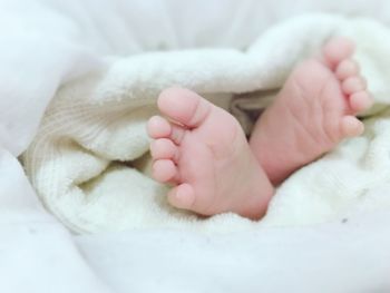 Close-up of baby feet