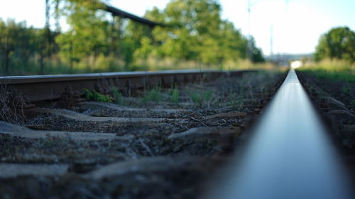 Surface level of railroad track along trees