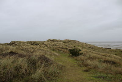 Scenic view of field by sea against sky