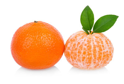 Close-up of orange fruit against white background