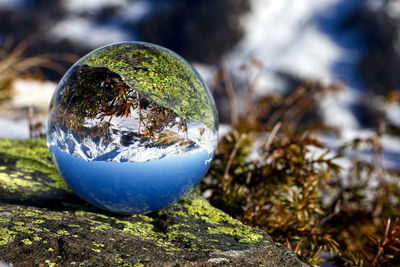 Close-up of crystal ball on rock