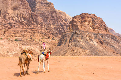 Man riding horse on rock