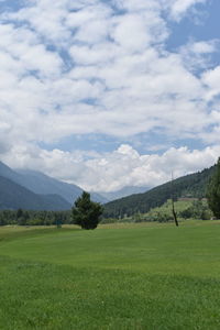 Scenic view of field against sky