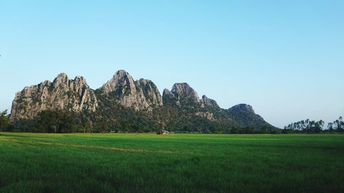 Scenic view of field against clear blue sky