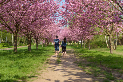 Rear view of people walking in park