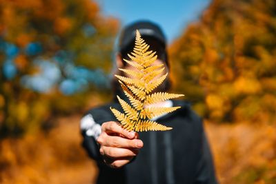Person holding fern leaf during autumn