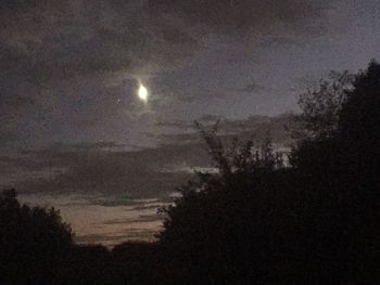 Silhouette trees against sky at night