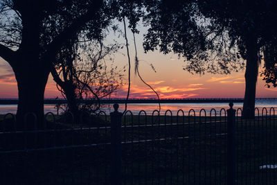 Silhouette trees by sea against sky during sunset