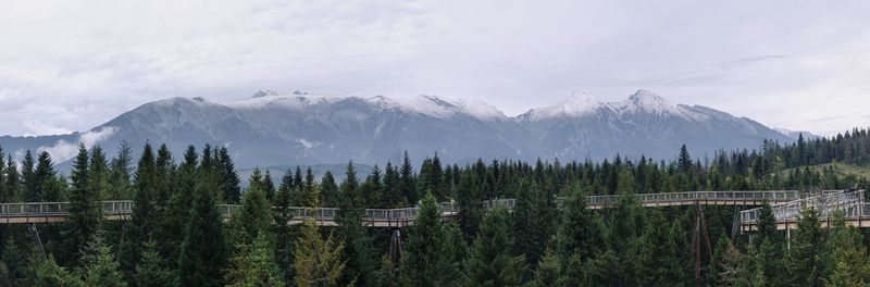 Panoramic view of trees and mountains against sky