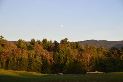 Scenic view of landscape against clear sky