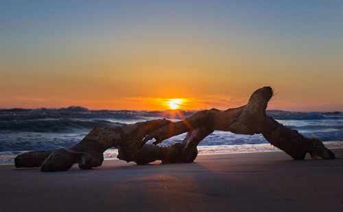 Driftwood on rocks at beach against sky during sunset