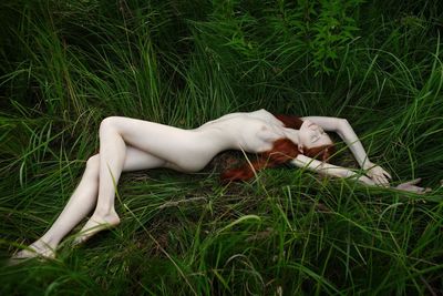 High angle view of naked woman sleeping on grass