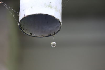 Close-up of water drop