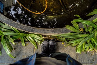 Low section of person standing by pond