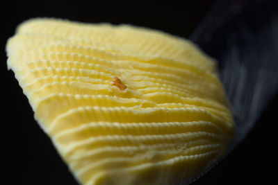 Close-up of bread against black background