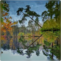 Reflection of trees in lake against sky