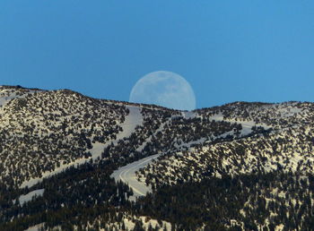 Low angle view of moon against clear blue sky