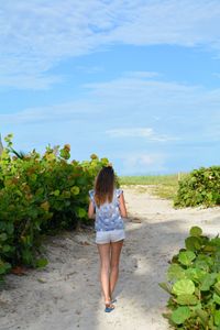 Full length rear view of woman standing on beach path 